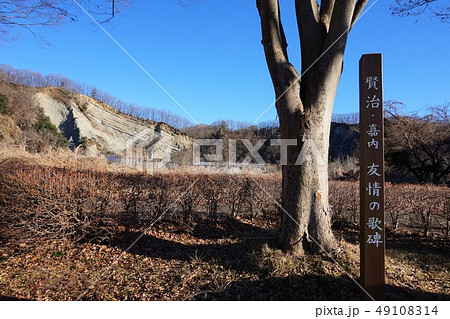 秩父の峡 歌碑 友情の歌碑　ようばけ 国指定天然記念物 宮沢賢治 保阪嘉内　アザリア 49108314