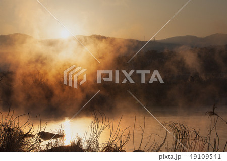 冬 冬の風景 風景 49109541
