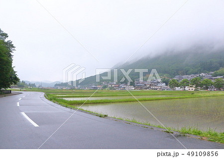 梅雨、立杭の里 梅雨、立杭の里 49109856