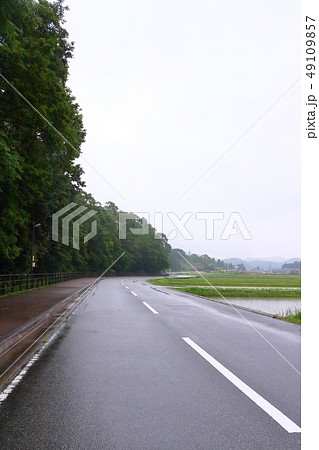 梅雨、立杭の里 49109857