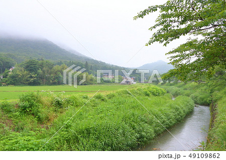 梅雨、立杭の里 49109862