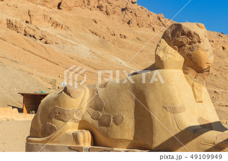 Sphinx near Mortuary Temple of Hatshepsut 49109949