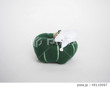 フェルト作品 ねずみとカボチャ フェルト作品 ねずみとカボチャ 49110097