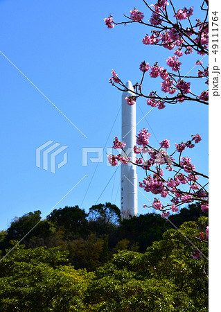 錦江湾公園H-IIAロケット 49111764