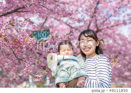 桜と家族写真 桜と家族写真 49111850