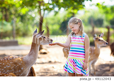 Child feeding wild deer at zoo. Kids feed animals. 49112043