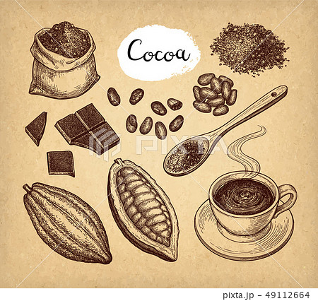 Cocoa and chocolate set. Cocoa and chocolate set. 49112664