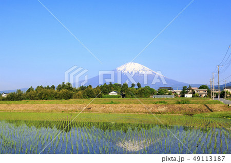 富士山と田んぼ 49113187