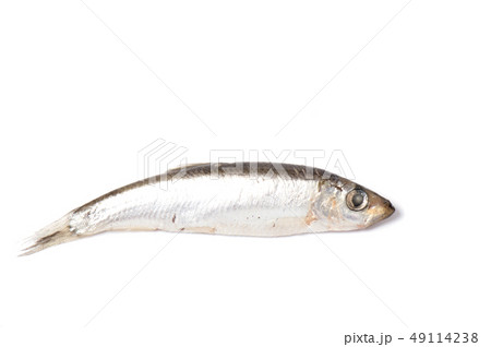 Dry fish isolated on white background. horizontal Dry fish isolated on white background. horizontal 49114238