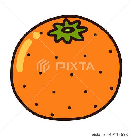 シンプルで可愛いオレンジのイラスト 主線ありのイラスト素材 49115658 Pixta
