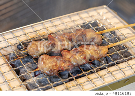 焼鳥_おひとりさまの炭火焼き(炭焼き・網焼き・七輪・一人・宅飲み・バーベキュー・BBQ・炭・ヤキトリ 焼鳥_おひとりさまの炭火焼き(炭焼き・網焼き・七輪・一人・宅飲み・バーベキュー・BBQ・炭・ヤキトリ 49116195