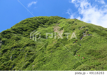 雨飾山　山頂への道　山頂直下 49116263