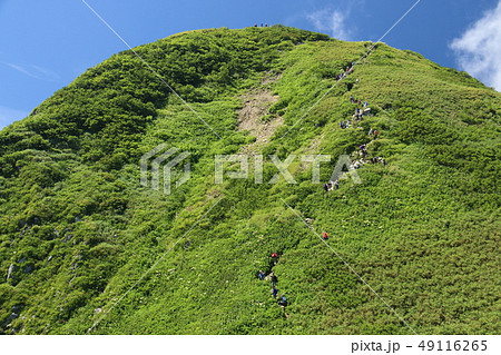 雨飾山　山頂への道　山頂直下 49116265