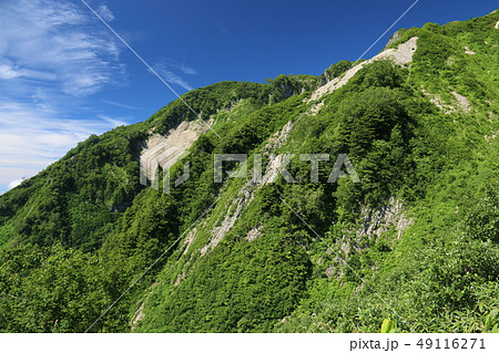 雨飾山 山頂への道 笹平への急登 雨飾山 山頂への道 笹平への急登 49116271