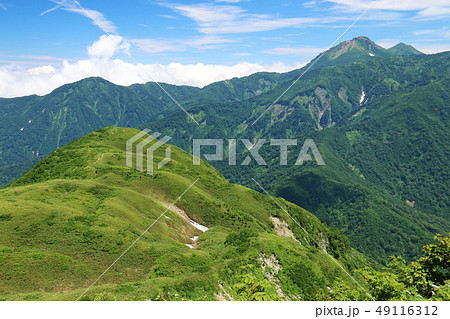 雨飾山　山頂への道　山頂直下から笹平を望む 49116312