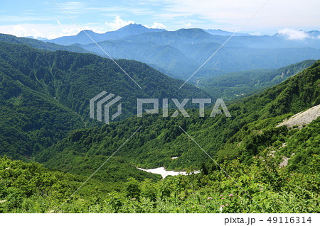 雨飾山　山頂への道　妙高山火打山焼山遠景 49116314