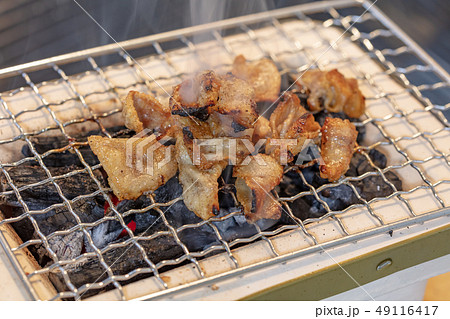 焼鳥_おひとりさまの炭火焼き(炭焼き・網焼き・七輪・一人・宅飲み・バーベキュー・BBQ・炭・ヤキトリ 焼鳥_おひとりさまの炭火焼き(炭焼き・網焼き・七輪・一人・宅飲み・バーベキュー・BBQ・炭・ヤキトリ 49116417