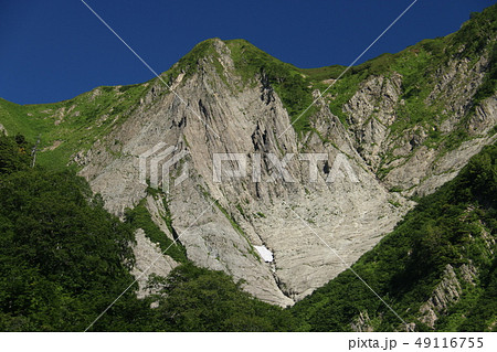 雨飾山　山頂までの道　布団菱 49116755