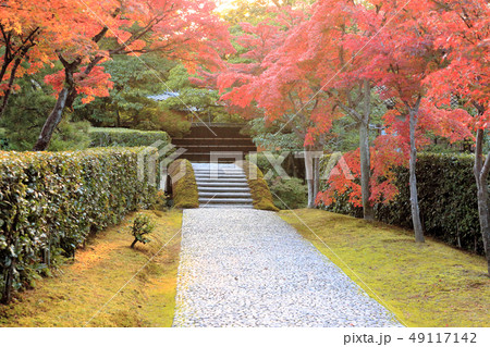 京都秋の庭園の入口 49117142