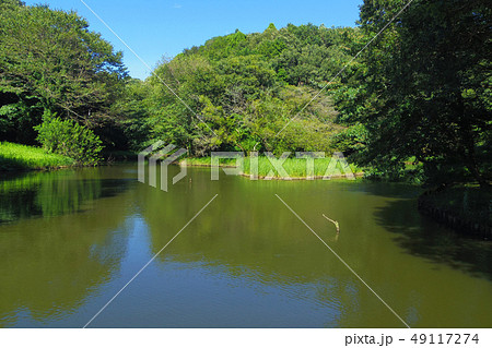 神奈川県立座間谷戸山公園の風景 49117274