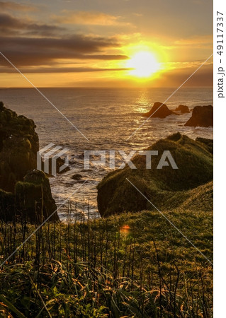 霧多布岬の夜明け 49117337