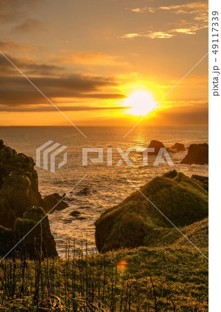 霧多布岬の夜明け 49117339