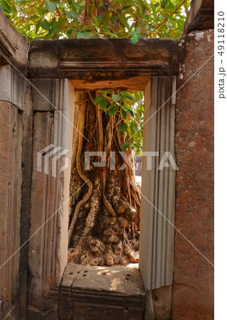 Angkor Thom　アンコールトム　世界遺産　環濠　遺跡　クメール 49118210