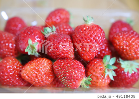 イチゴ 49118409