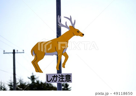 道路標識　 シカ注意 49118650
