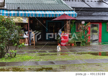 Houtong cat village. Taiwan famous cat population. 49119289