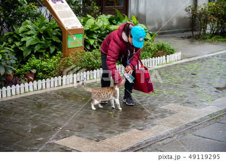 Houtong cat village. Taiwan famous cat population. 49119295