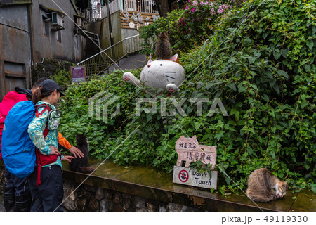 Houtong cat village. Taiwan famous cat population. 49119330
