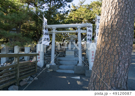 [静岡県]　三保の松原　羽車神社 49120087