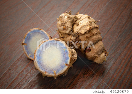 紫ウコン 紫ウコン 49120379