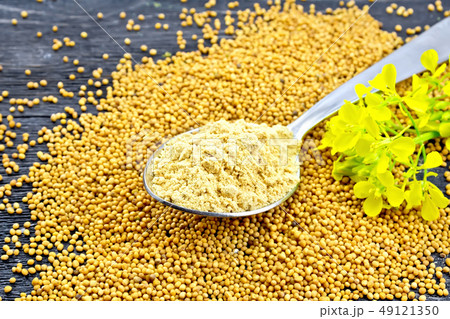 Mustard powder in spoon with flower on black board Mustard powder in spoon with flower on black board 49121350