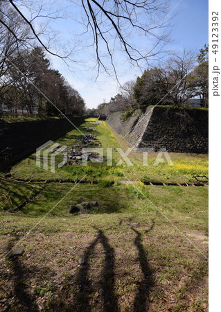 名古屋城点景 49123392