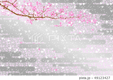 20190324銀箔桜 49123427