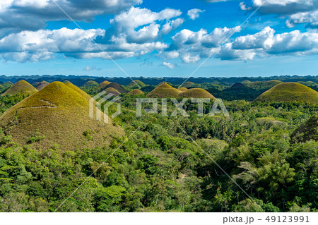 【フィリピン】ボホール島・チョコレートヒルズ 49123991