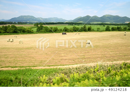 国道391号摩周国道 牧草刈り取り風景 国道391号摩周国道 牧草刈り取り風景 49124218