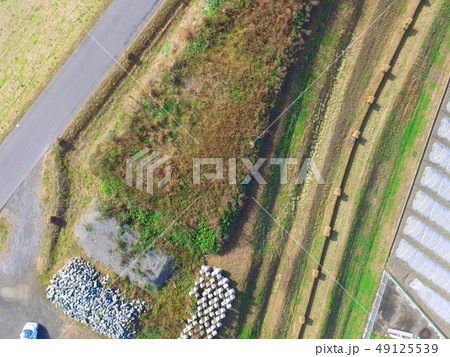 吉野川の岸辺〜ドローンで空撮（徳島県上板町綾部） 49125539