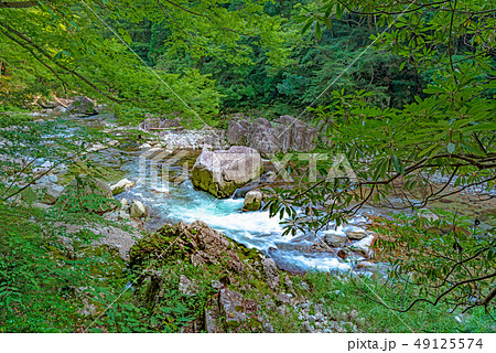 三段峡 渓谷の風景 49125574