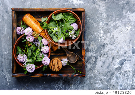 Clover in herbal medicine Clover in herbal medicine 49125826