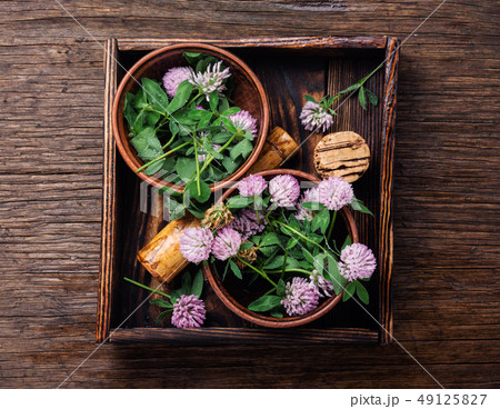 Clover in herbal medicine Clover in herbal medicine 49125827