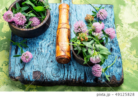 Clover in herbal medicine Clover in herbal medicine 49125828