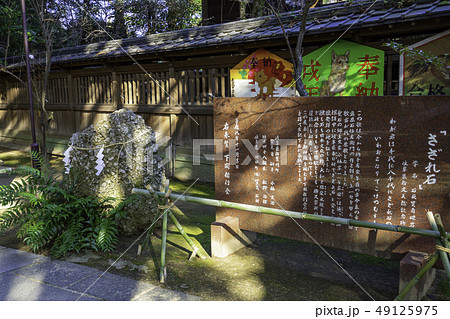 山口 下関市長府 乃木神社 さざれ石 乃木希典 山口 下関市長府 乃木神社 さざれ石 乃木希典 49125975