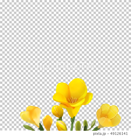 Freeze floral frame. Freeze floral frame. 49126141