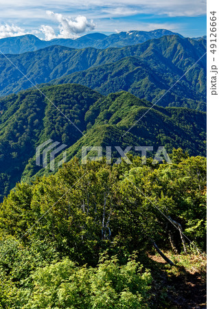 栂海新道・白鳥山から見る犬ヶ岳と朝日岳・雪倉岳 49126664