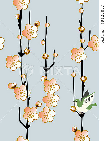 梅とメジロのパターン シームレスな日本の模様 春の和柄 梅の花のイメージイラスト のイラスト素材