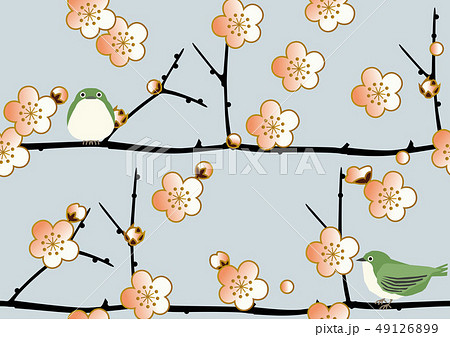 梅とメジロのパターン シームレスな日本の模様 春の和柄 梅の花のイメージイラスト のイラスト素材
