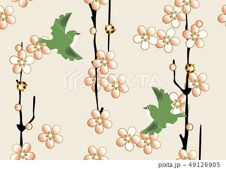 梅とメジロのパターン シームレスな日本の模様 春の和柄 梅の花のイメージイラスト のイラスト素材